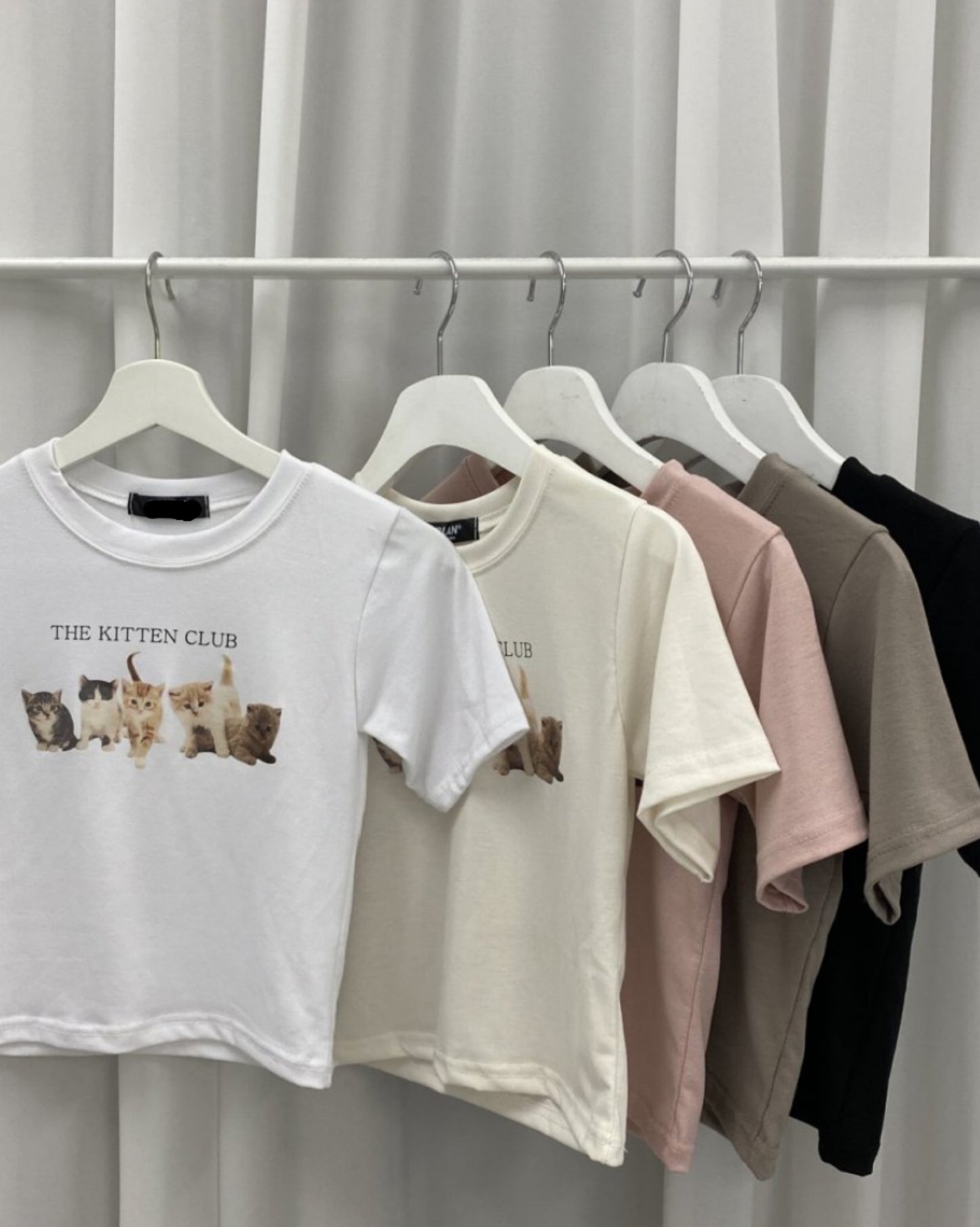 【早鳥價】𝗟𝗶𝘁𝘁𝗹𝗲 𝗖𝗮𝘁 𝗧𝗲𝗲